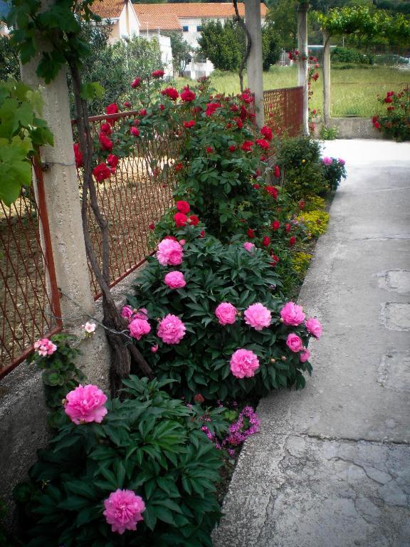 Francesca Guesthouse Mlini Exterior foto